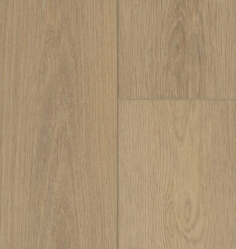 Taiga Aquila Beauty colour swatch